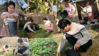 Nrog thaiv wb mus tshib yub zaub los noj nawb 15.1.2026