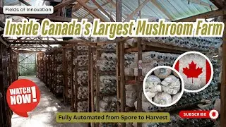 123 - Inside Canada&rsquo;s Largest Mushroom Farm &ndash; Fully Automated from Spore to Harvest