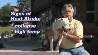 Kootenai Humane Society Pet Health/Safety Tip-heat stroke