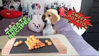 Cooking with Beagle 🍠🦴 Homemade Dog Treats with sweet potato 🍠