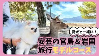【広島山口旅blog】わんちゃんと一緒に旅行に行ってきました【世界遺産】