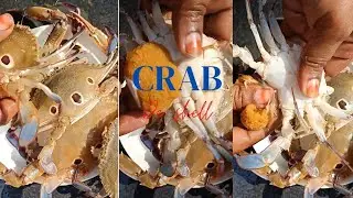 How do you remove the live crab shell || how do you peel fresh crab || #shorts