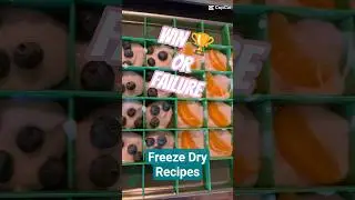 Beginner Round of Freeze-Drying Adventures ❄️✨