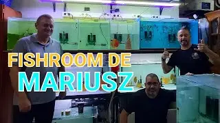 FISHROOM DISCUS 4K