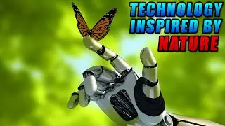 3 Technological Innovations Inspired By Nature And Wildlife