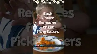 Bach Flowers For Healthy Eating | Dr Amit Karkare
