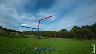 FreeRace TRAINING