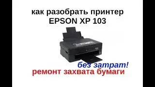 Как разобрать принтер (МФУ) Epson XP 103, не захватывает бумагу
