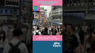 【Shibuya Scramble Crossing】Shibuya Station/Tokyo (JR Yamanote Line) ｜Japan Travel Guide