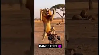 Lion vs warthog vs Monkey #dance #shorts