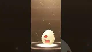 Hatching a salandit! #PokemonGO #Hatching #Salandit #12KM #egg #pokemon