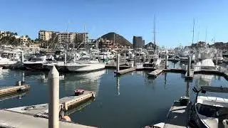 MARINA - 🎥 4K  SAN JOSE DEL CABO, MEXICO #shortvideo #reels #shorts #lights #viral #youtubeshorts