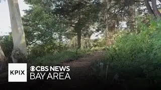 Community members comment on lack of trust in SF Parks Alliance