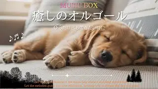 ｜癒しの睡眠BGM｜Drifting off to sleep, enveloped in the soft chime of a music box.