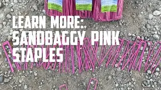 Learn More: Sandbaggy Pink Color Landscape Staples