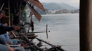 panen strike mancing di pinggiran danau Toba #pakreosilalahi #umpanoncop #fishing #mancing #umpan