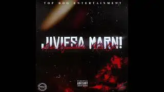 Festive - Top Dog Entertainment (Feat. Aiden Uyabadlalela x Kello Cpt & Dj Jakker)