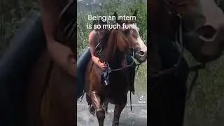 Every intern has their own adventure!