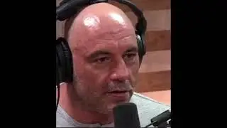 Ben Shapiro and Joe Rogan debate pokemon (AI voice meme)