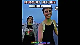 #whitelabrodorsbowhi