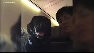 Virginia Beach K9 sniffs out arson suspect
