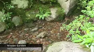 Nitobe Garden at The University of British Columbia