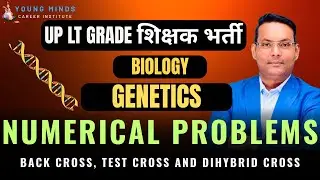 UP LT Grade | Numerical Problems in Genetics