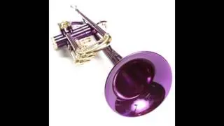 My Trumpet solo (house)