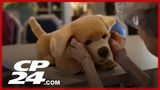 You can have an A.I. pet dog | CES 2026 unveils futuristic laptops and AI-powered smart tech