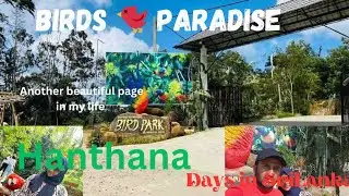 A  day 🦜 in Hanthana international birds paradise park in kandy/travelvlog/family timebirds feeding/