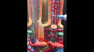 Cross Section intestine model anatomy