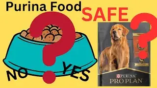 New Pet Food Recall? - Is Purina Dog Food making your dog sick.
