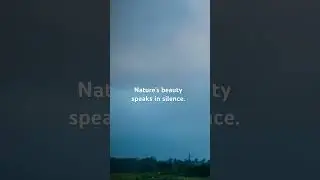 Nature&rsquo;s symphony #TimelapseMagic #NatureVibes #MorningGlow&rdquo;