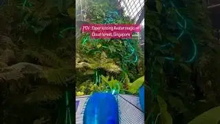 Immersive Avatar experience at Cloud forest🌿 #cloudforest #singaporetrip #singaporelife #singapore