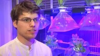 What to Do With an Empty Container Ship? Grow Food
