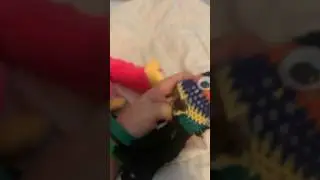 Don&rsquo;t mess with SOCKLINT