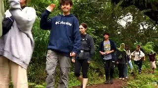 Escape to Nature's Paradise: Discover the Hidden Gems of Materuni Village with ZAFS Tours