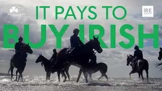 Irish-bred horses & days at the beach a winning formula for Ado McGuinness Racing