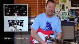 Black Cat Pedals: VIBE