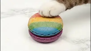 😺 Immersive Cat ASMR for Sleep &mdash; Dessert Destroyer! 🍰💤#ai #cat #asmr