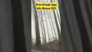 Baleno 2022 drive through foggy hills #baleno #alpha #fog #wildlife #lovestatus