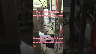 filter paper tea into cups fill seal machine #tea #coffee #filter #cup #filling #sealing #machine