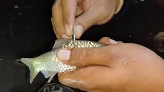 UMPAN JOSS MANCING PASIRAN || HUJAN TAK JADI MASALAH DALAM MELAWAN IKAN