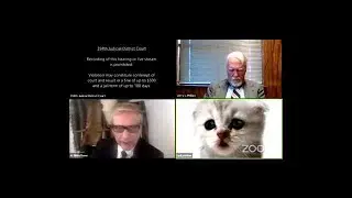 Zoom Cat Filter Fail -Judge notifies lawyer he's using cat filter - Hilarious #shorts