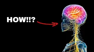 The Weird Way Bacteria Control's You