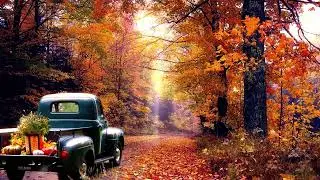 Relaxing autumn ambience  - birds and car engine sounds