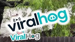Heroic High Water Rescue || ViralHog