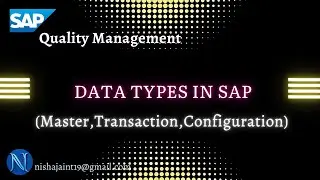 Data Types in SAP: Master Data, Transaction Data, Configuration Data | SAP Quality Management (QM)