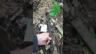 ww1 german nice mustard glass excavation #metaldetecting #deus #xpdeusdetector #germanmilitary xp