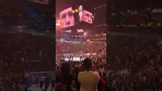 Alex Pereira UFC 313 Walkout